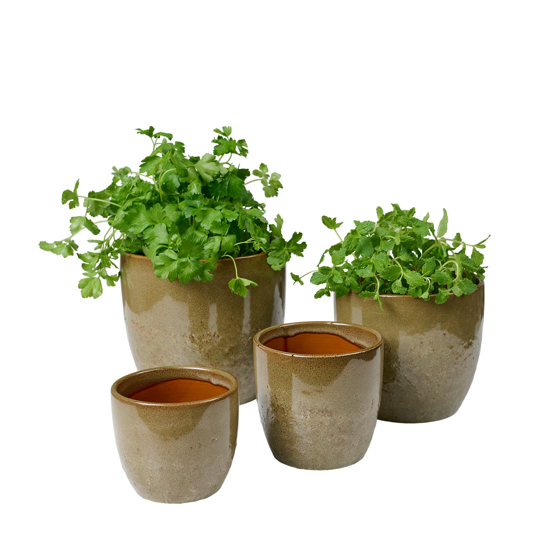 Pio II Blumentopf D14 cm